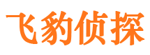 胶州市私家侦探